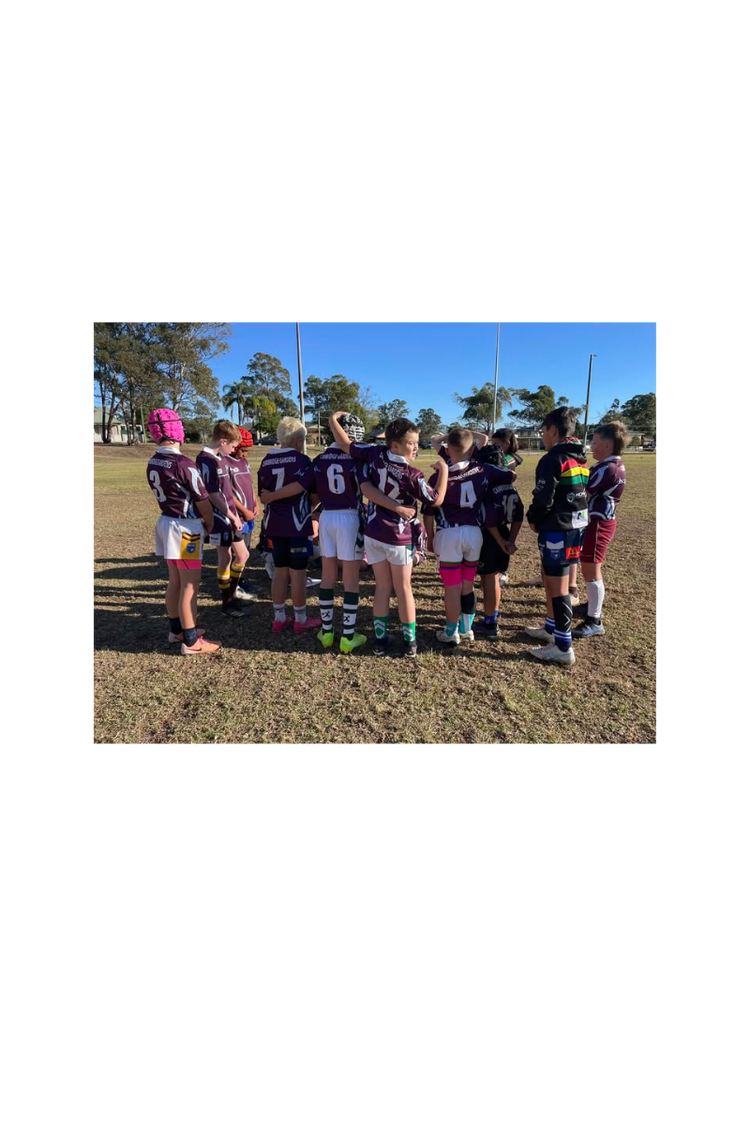 Card Container Photos - Rugby League