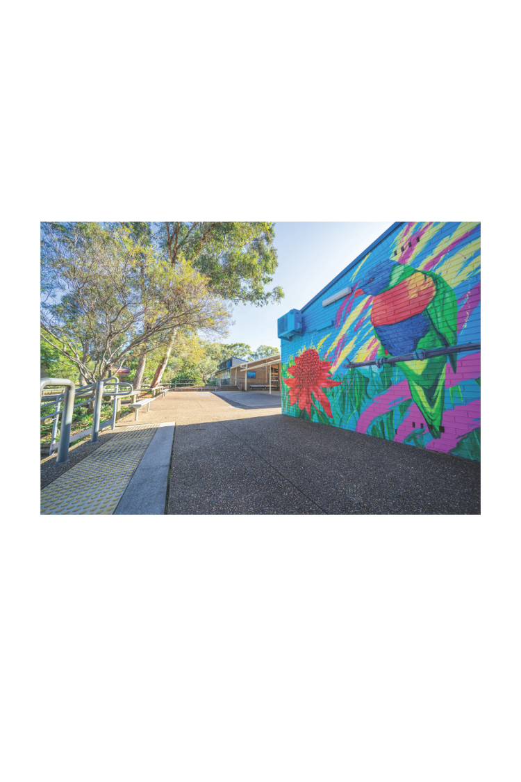 Card Container Photos - Rainbow Lorikeet