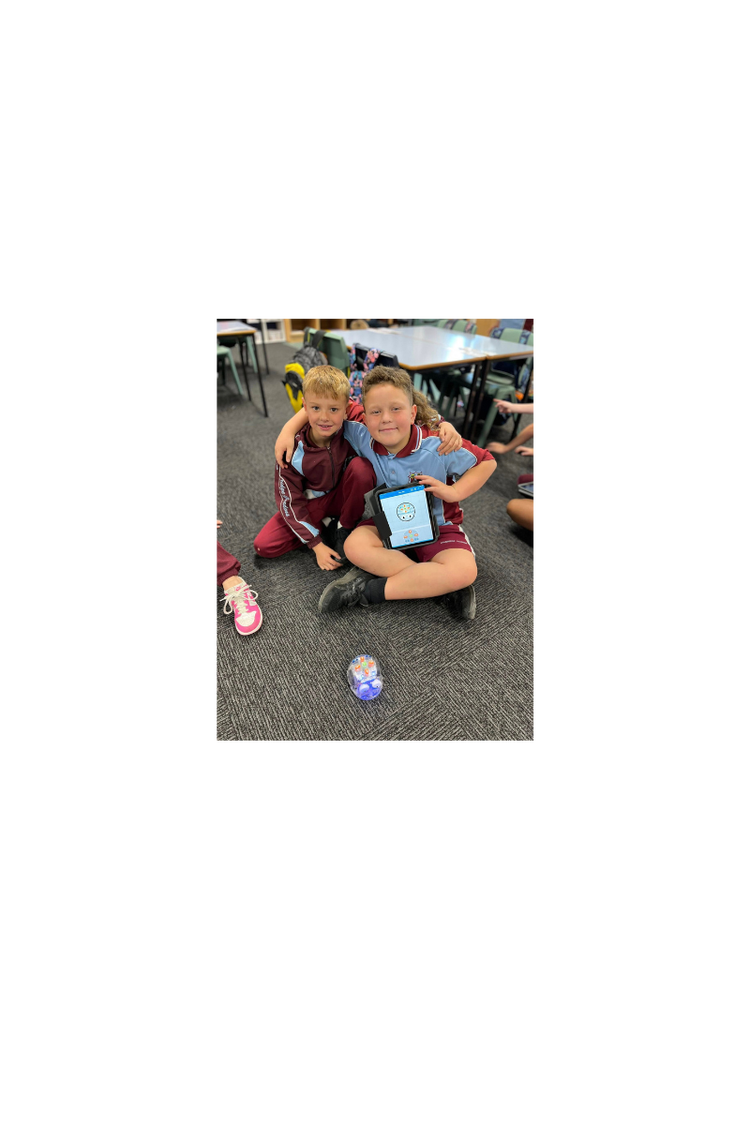Card Container Photos - Beebots 1