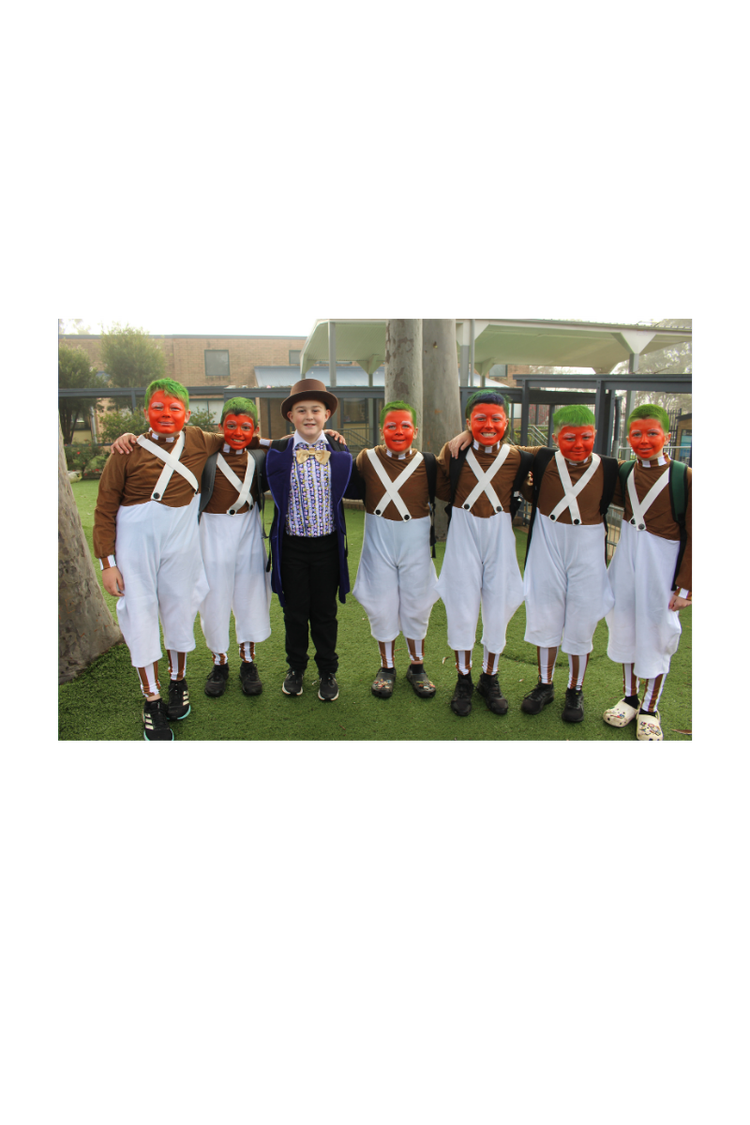 Card Container Photos - Book Week